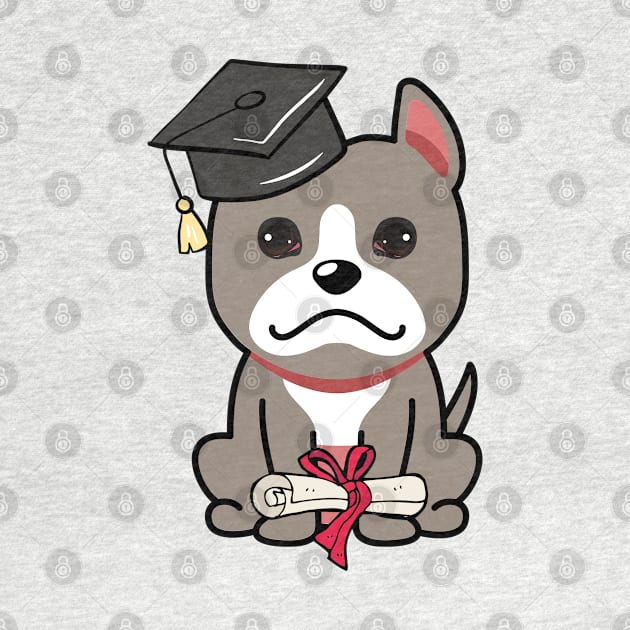 Cute grey dog is a graduate by Pet Station